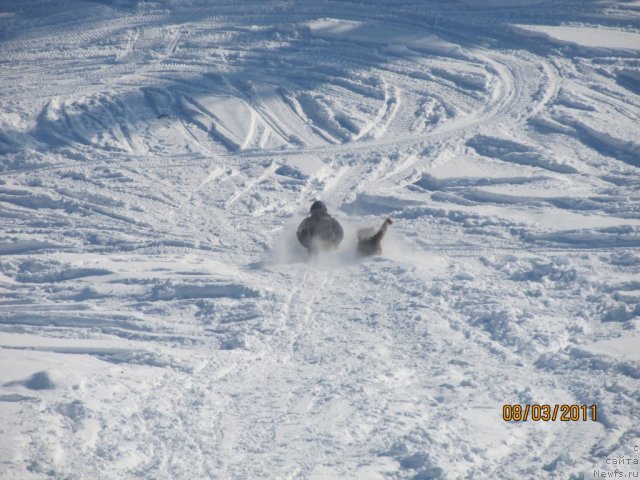 Фото: Алексей Нистратов, Даник