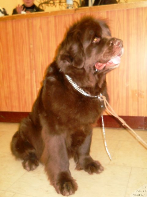 Фотография № 61007