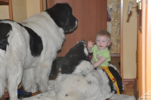 Фотография № 61008