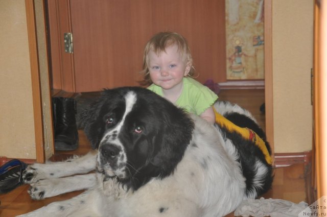 Фотография № 61010