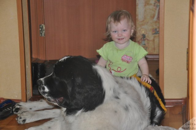 Фотография № 61011