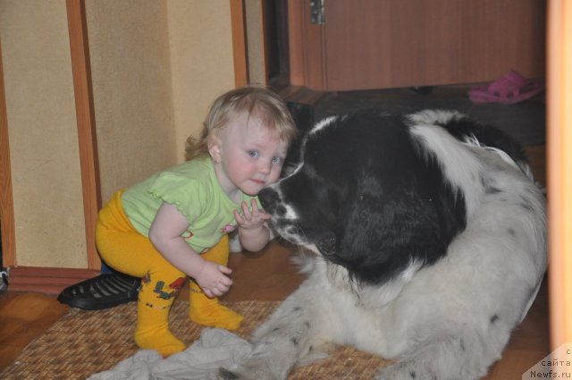 Фотография № 61012