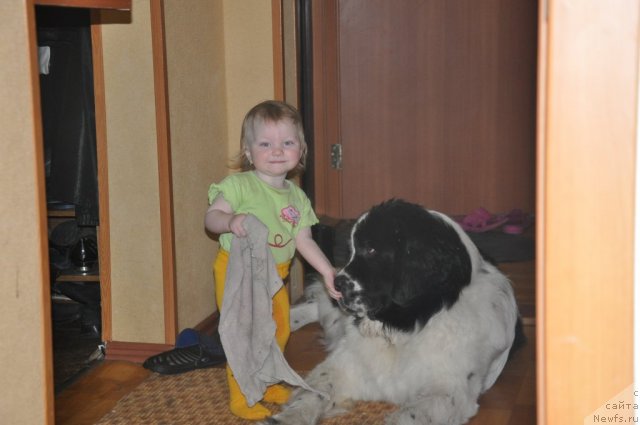 Фотография № 61013