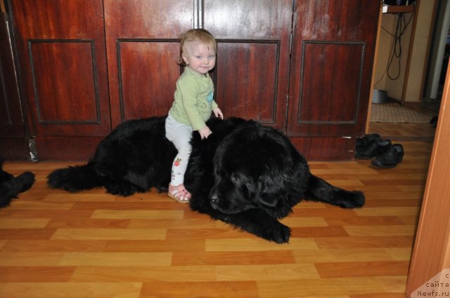 Фотография № 61014