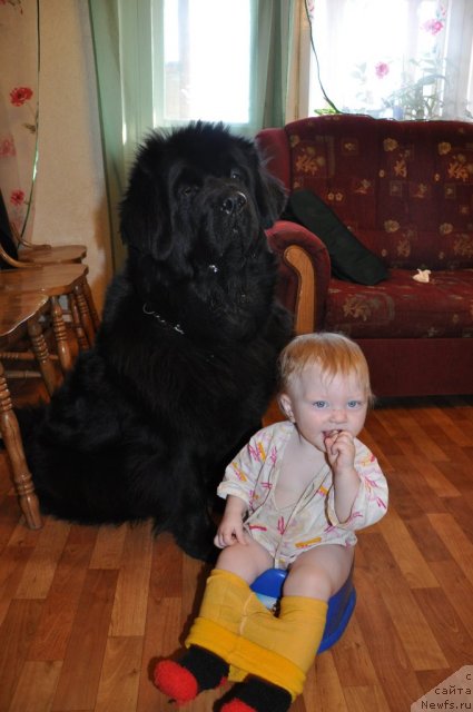 Фотография № 61015