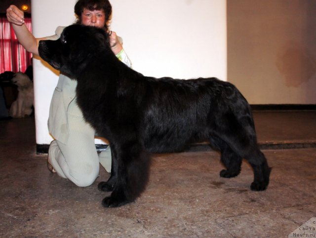 Фотография № 61017