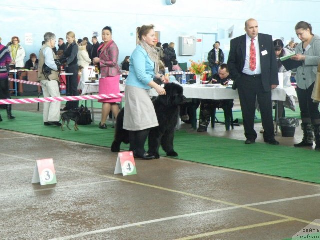 Фотография № 61059