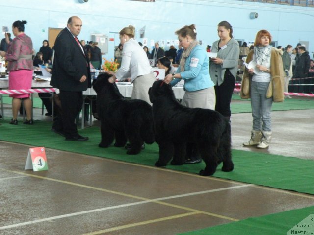 Фотография № 61061