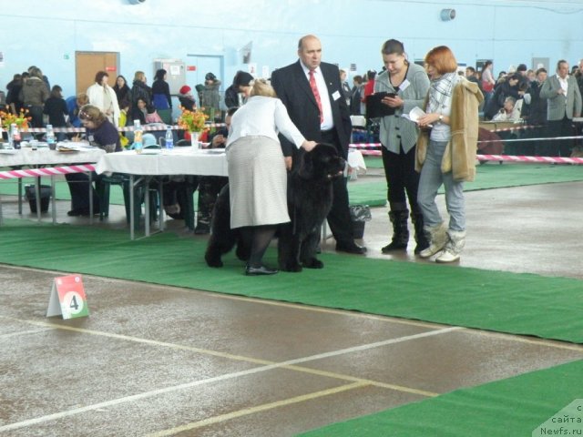 Фотография № 61063