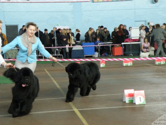 Фотография № 61066