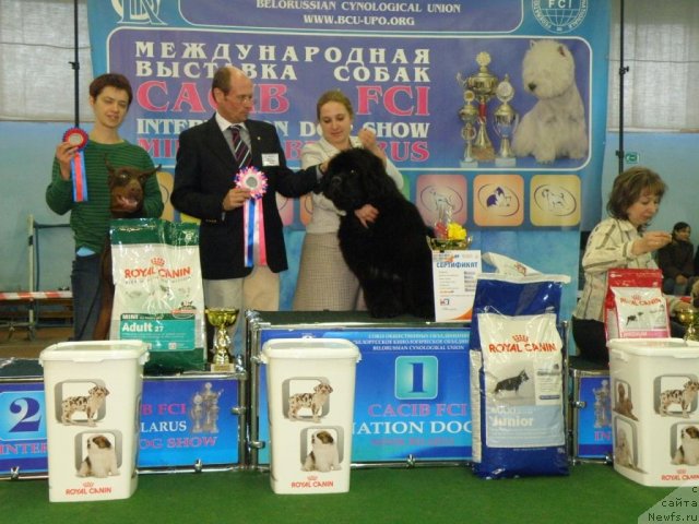 Фотография № 61068