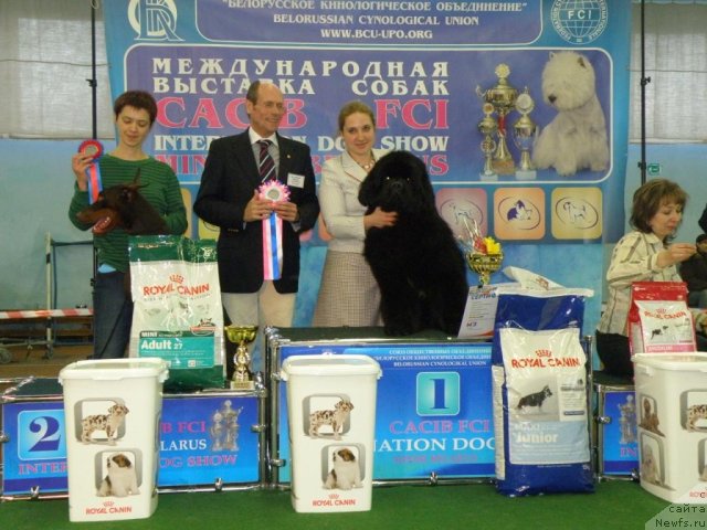 Фотография № 61069