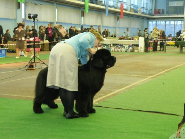 Фотография № 61071