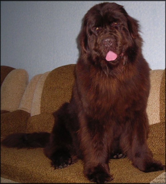 Фотография № 61163