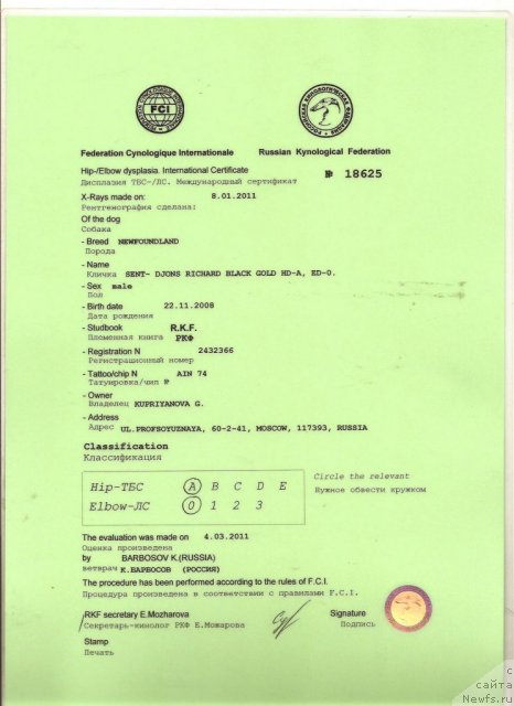 Фотография № 61183