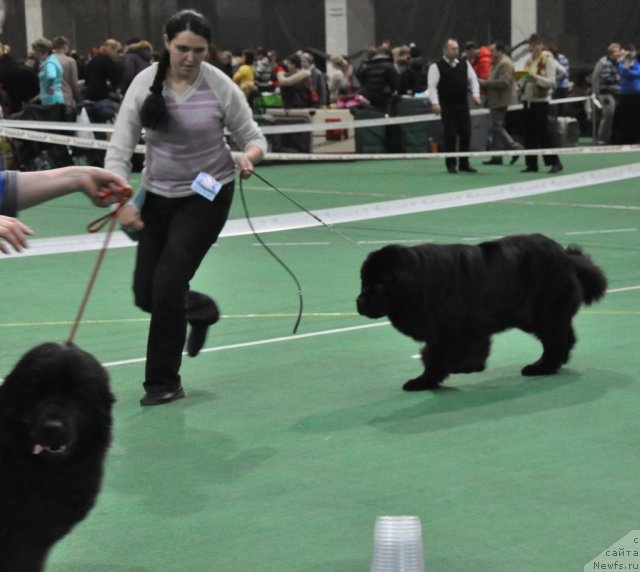 Фотография № 61202