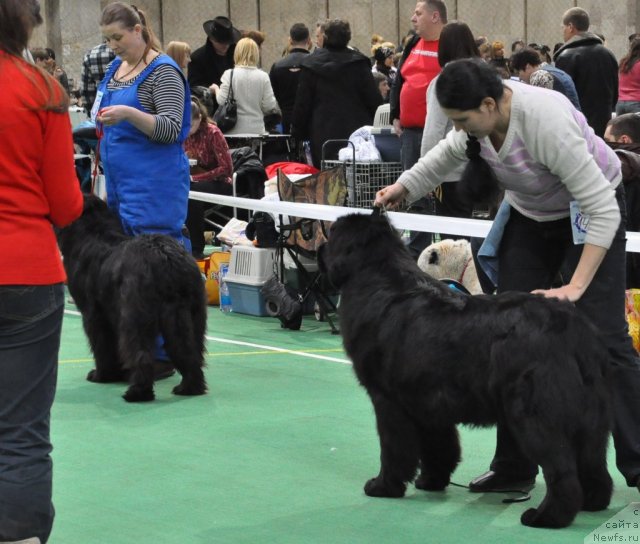 Фотография № 61203