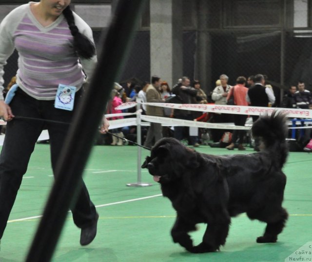 Фотография № 61206