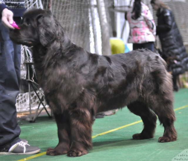 Фотография № 61243