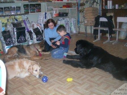 Фотография № 61275