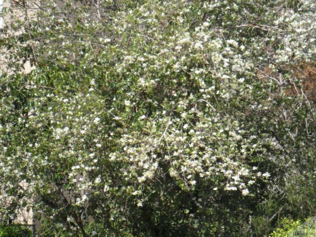 Фотография № 61297