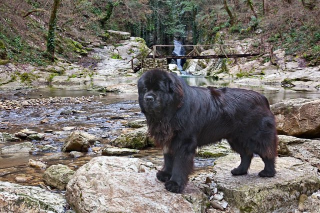 Фотография № 61308