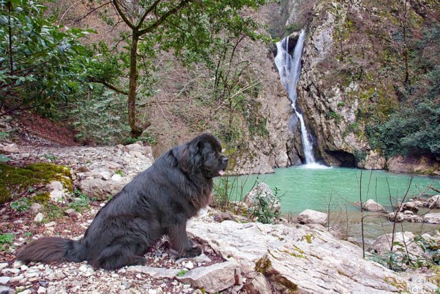 Фотография № 61322