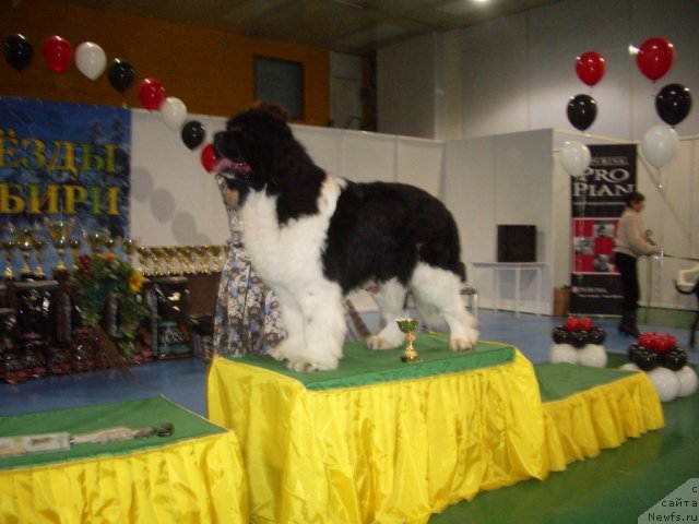 Фотография № 61323