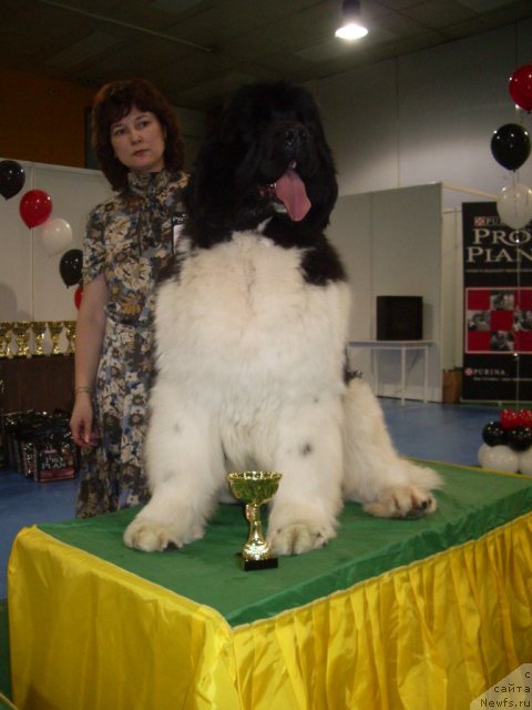 Фотография № 61324