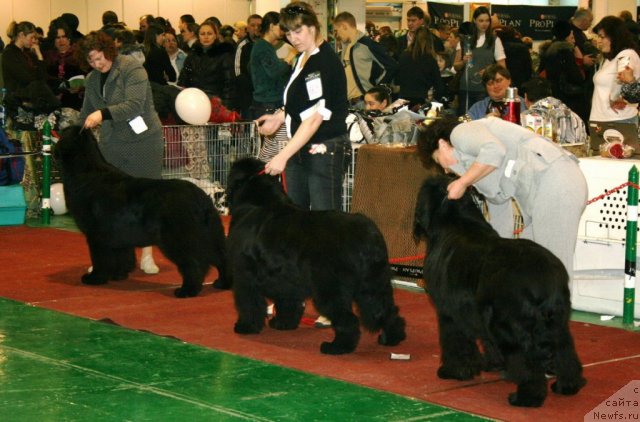 Фотография № 61331