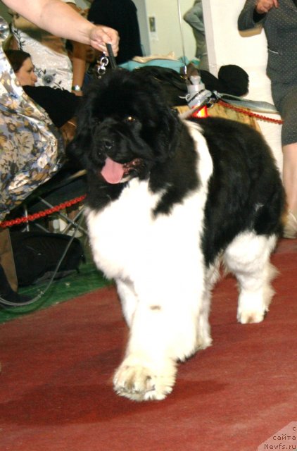 Фотография № 61338