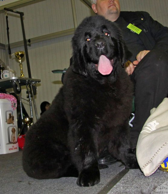 Фотография № 61349