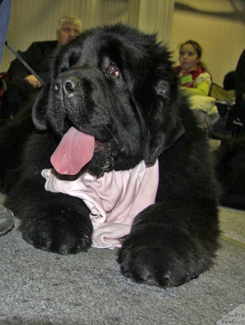 Фотография № 61352