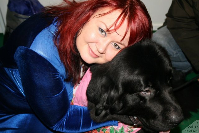 Фото: ньюфаундленд Потап Юнитер