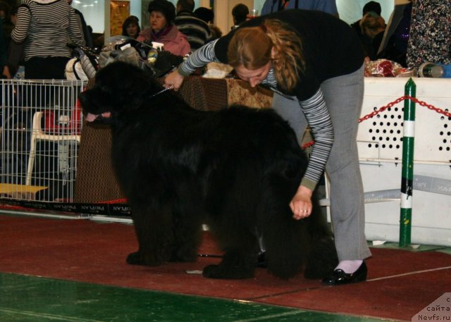 Фотография № 61365