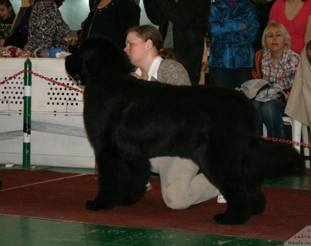 Фотография № 61367