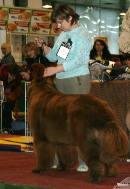 Фотография № 61369