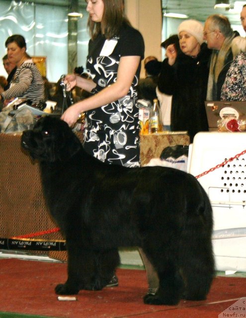 Фотография № 61370