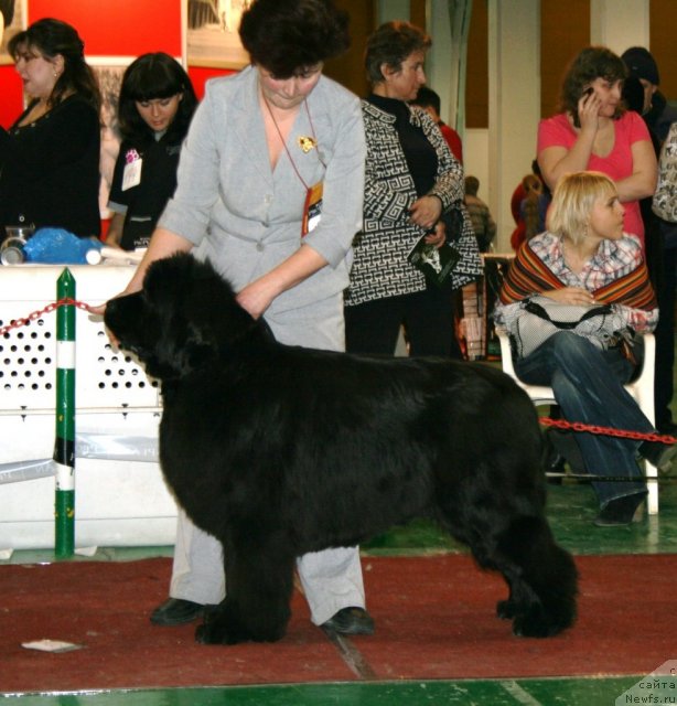 Фотография № 61373