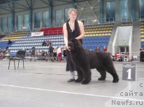 Фотография № 61374