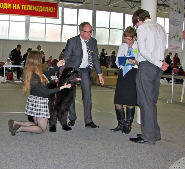 Фотография № 61382