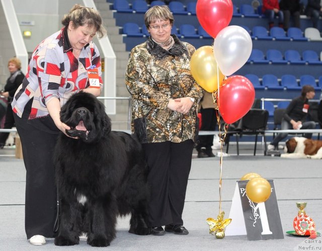 Фотография № 61385