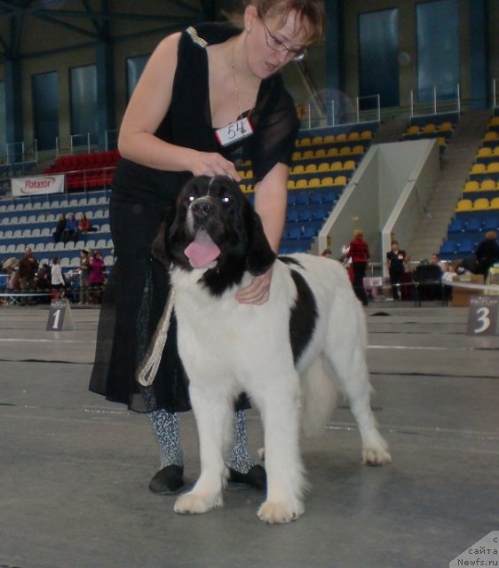 Фото: Ольга Трапезникова