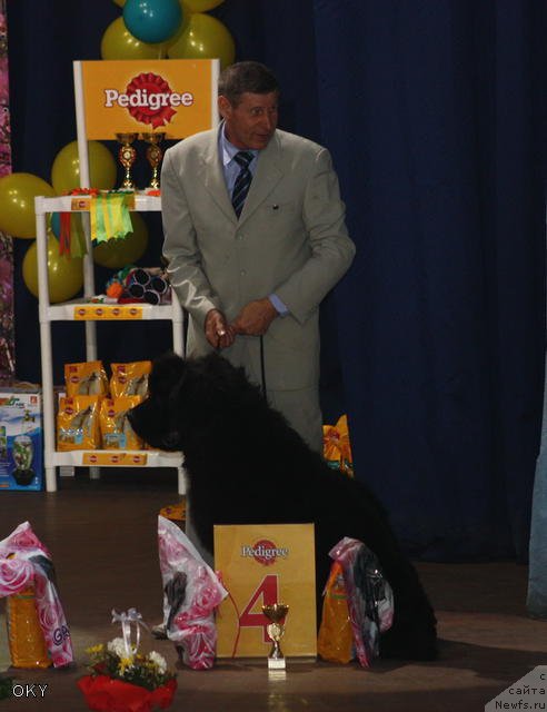 Фотография № 61469