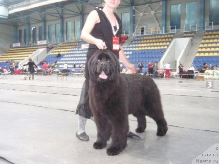 Фотография № 61473