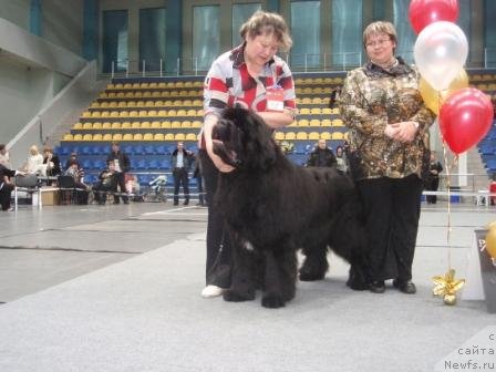 Фотография № 61474