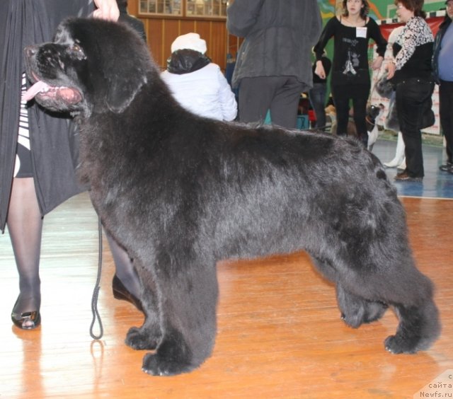 Фотография № 61478