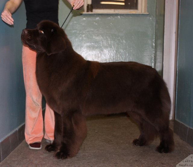 Фотография № 61496