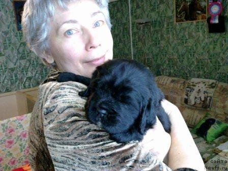 Фото: Оливрико Адмирал Блэк