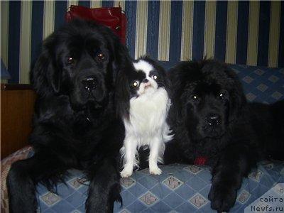 Фотография № 6156